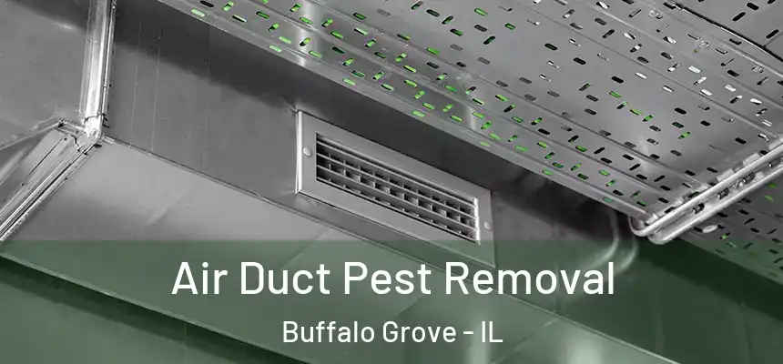  Air Duct Pest Removal Buffalo Grove - IL