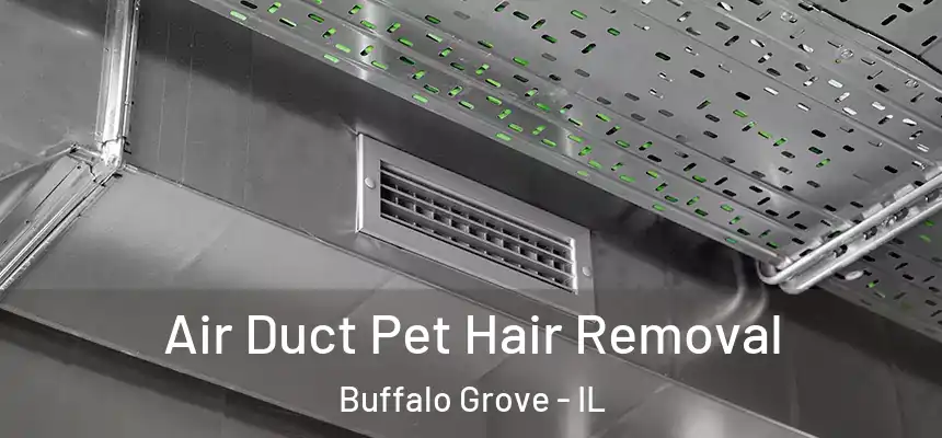  Air Duct Pet Hair Removal Buffalo Grove - IL