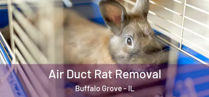  Air Duct Rat Removal Buffalo Grove - IL