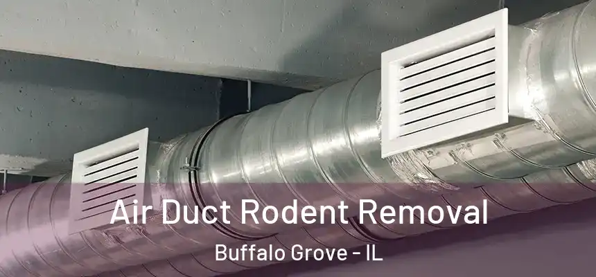  Air Duct Rodent Removal Buffalo Grove - IL