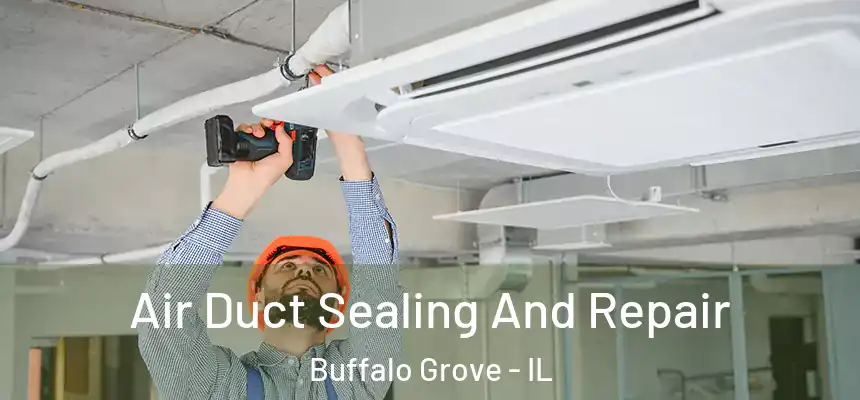  Air Duct Sealing And Repair Buffalo Grove - IL