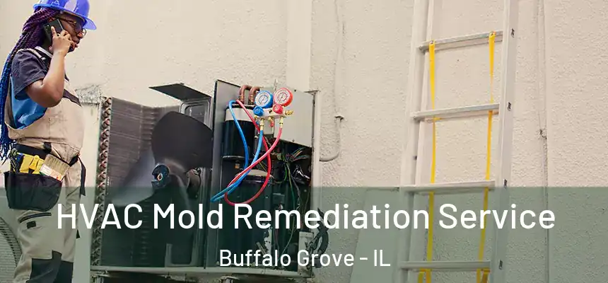  HVAC Mold Remediation Service Buffalo Grove - IL