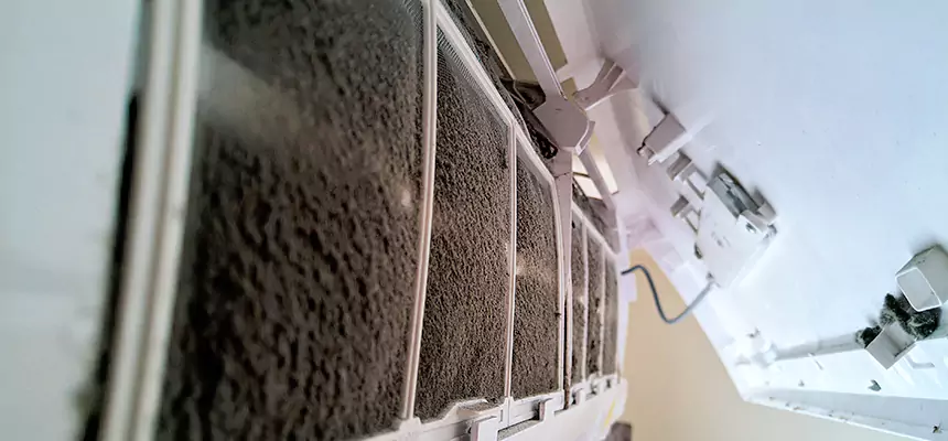 Preventive Air Duct Bacteria Removal in Buffalo Grove