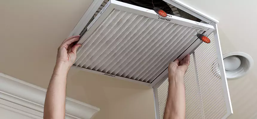 Preventive Cockroach-Proofing for Ducts in Buffalo Grove