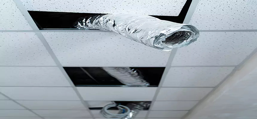 Our Air Duct Pet Hair Removal Services in Buffalo Grove, IL