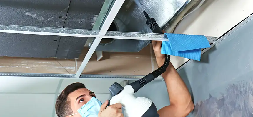 Our Air Duct Rodent Removal Services in Buffalo Grove, IL