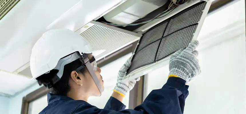 Our Lint Trap Cleaning Service Services in Buffalo Grove, IL