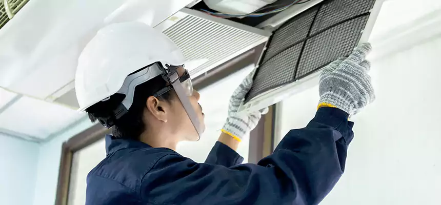 Our Mold & Mildew Removal from Air Ducts Services in Buffalo Grove, IL