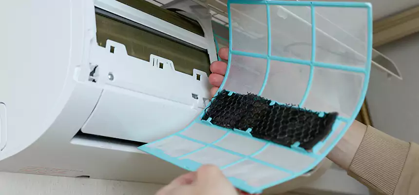 Gentle Ductwork Odor-Control Pet Dander Duct Cleaning in Buffalo Grove, IL