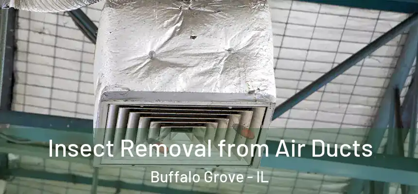  Insect Removal from Air Ducts Buffalo Grove - IL