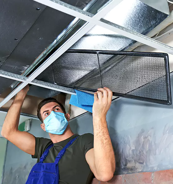 About Air Duct Bacteria Removal in Buffalo Grove