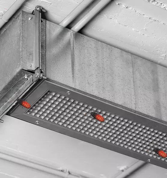 About Air Duct Cockroach Removal in Buffalo Grove, IL