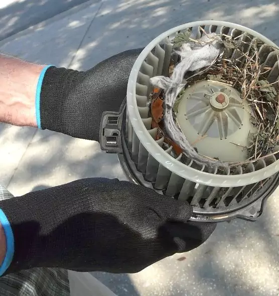 About Air Duct Mice Removal in Buffalo Grove, IL