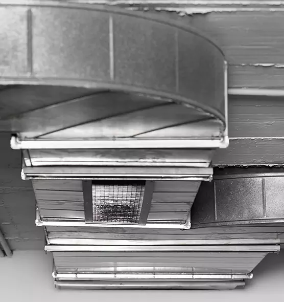 Professional Air Duct Pest Removal in Buffalo Grove, IL