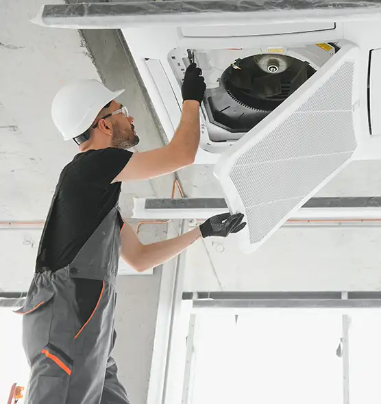 About Air Duct Rodent Removal in Buffalo Grove, IL