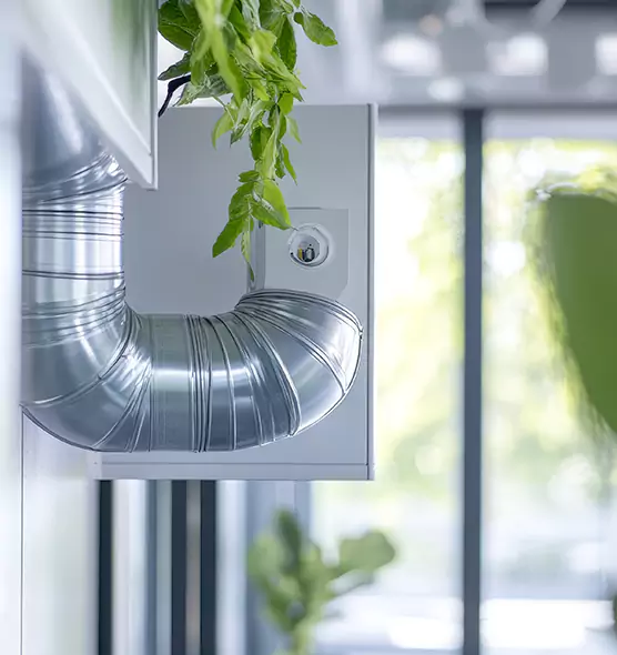 Professional Eco-Safe Dryer Vent Cleaning in Buffalo Grove, IL