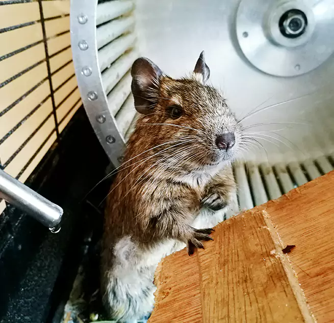 Why Homeowners & Businesses Trust Us Buffalo Grove, IL?