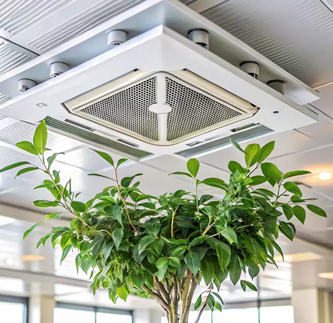 Why Homeowners & Businesses Trust Us in Buffalo Grove, IL