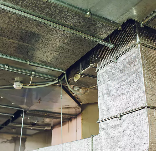 Why Homeowners & Businesses Trust Us in Buffalo Grove, IL?