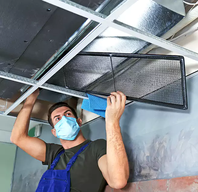 Why Homeowners Businesses Trust Us in Buffalo Grove, IL