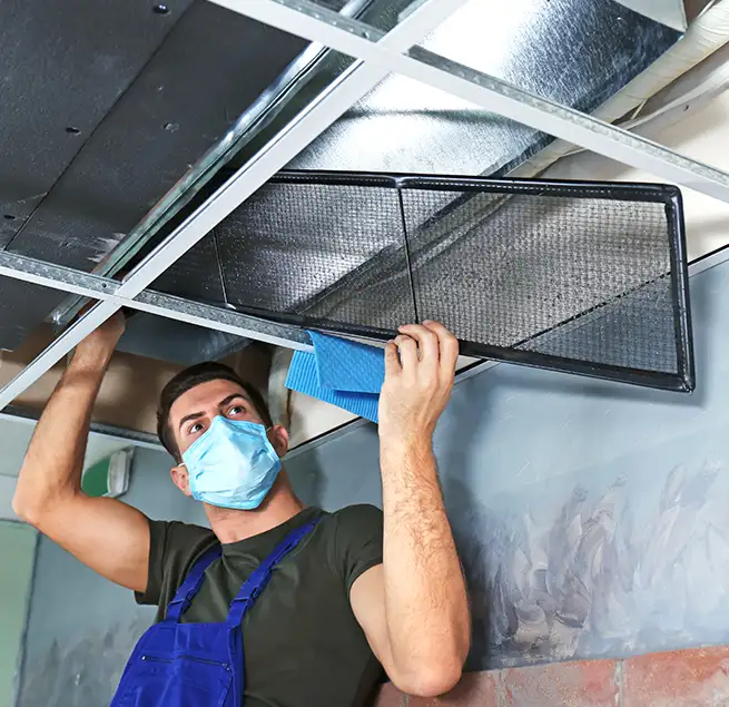 Why Homeowners & Businesses Trust Us in Buffalo Grove, IL?